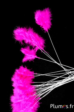 Panicule 3 plumes - hauteur 36 cm - fuchsia